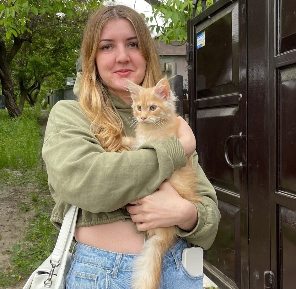 review1_maple_maincoon_cattery