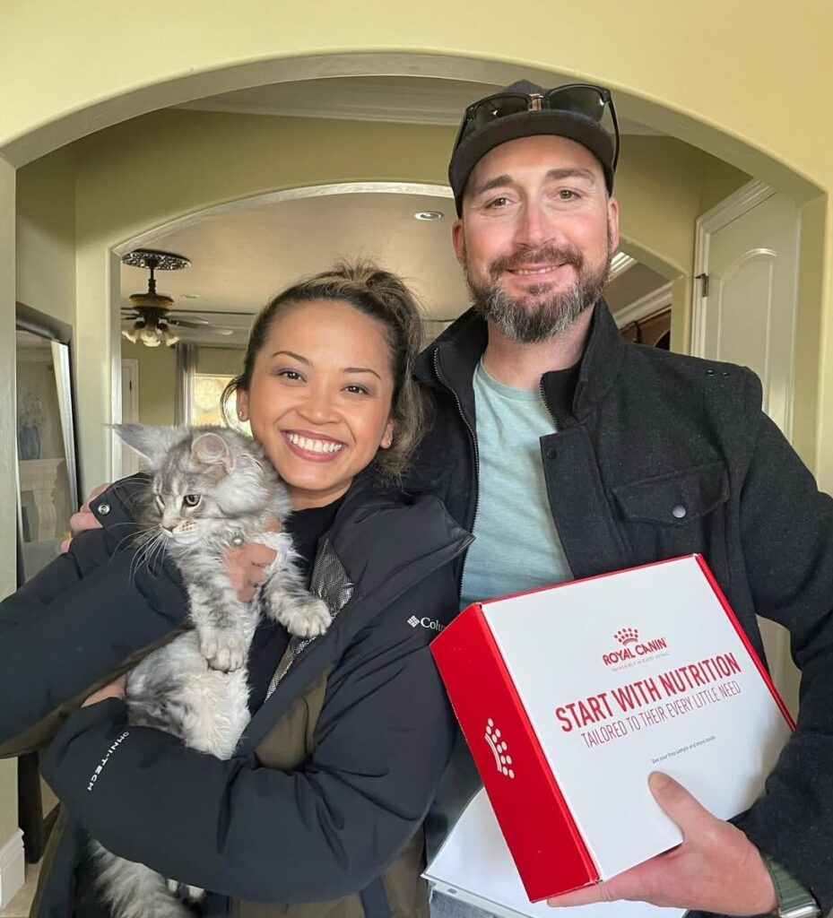 review7_maple_maincoon_cattery