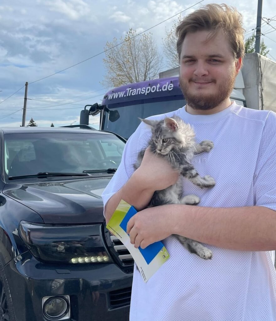 review6_maple_maincoon_cattery