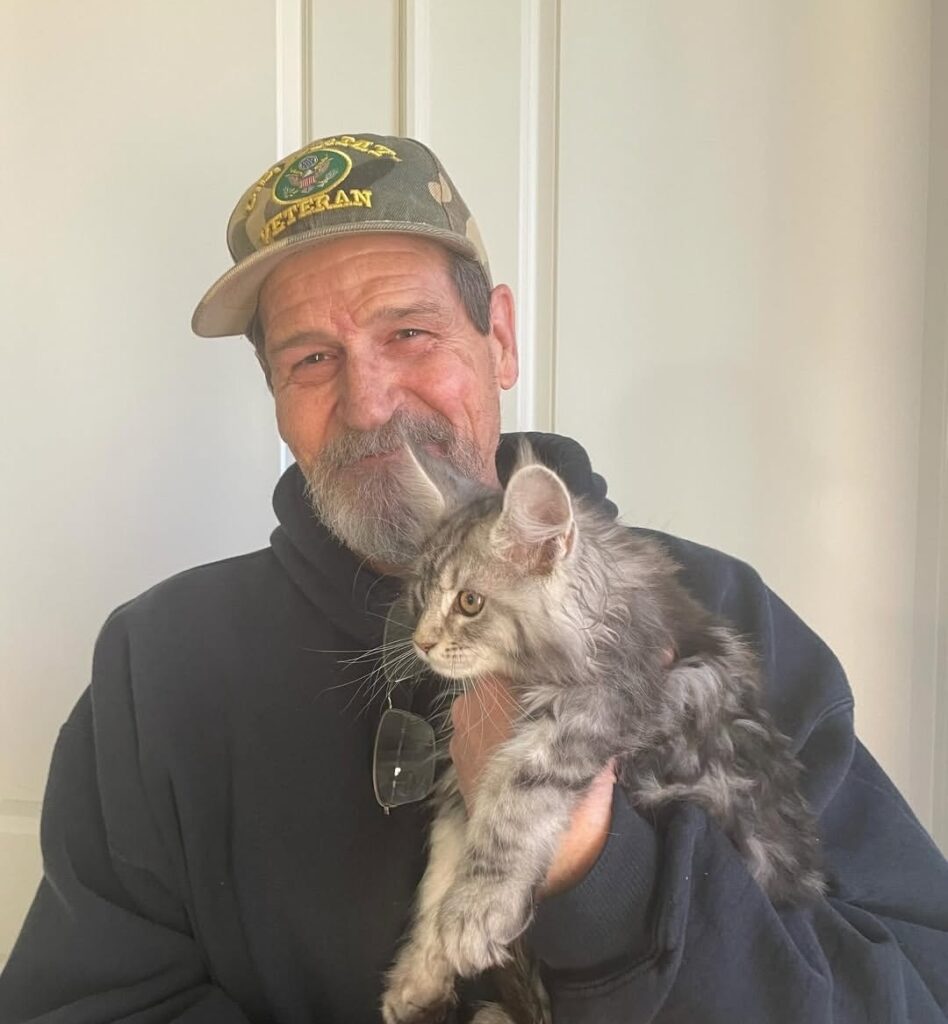 review2_maple_maincoon_cattery