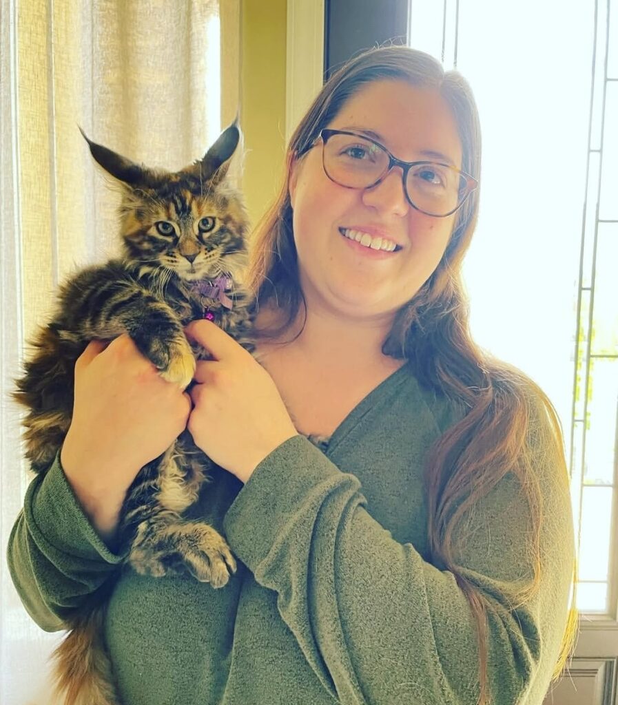 review7_maple_maincoon_cattery